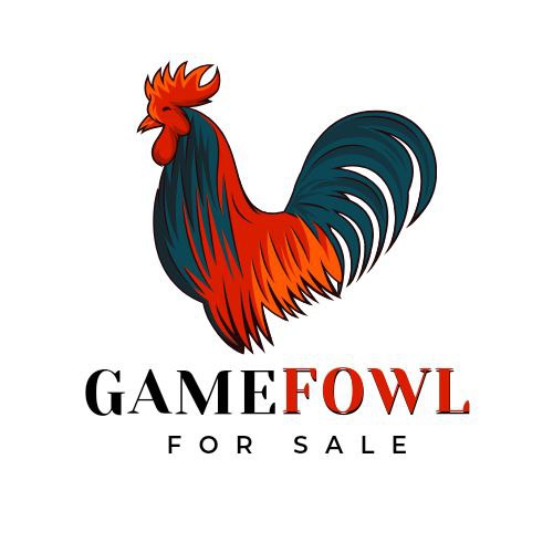 Gamefowl For Sale